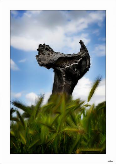 De la tierra al cielo