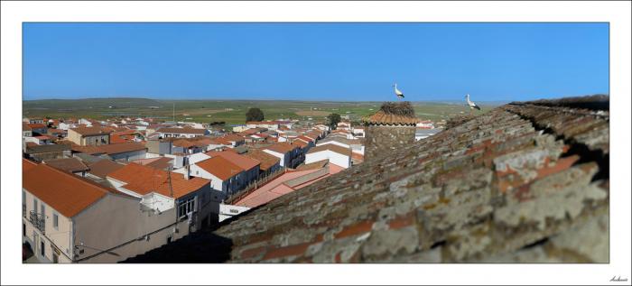 Mis Llanos