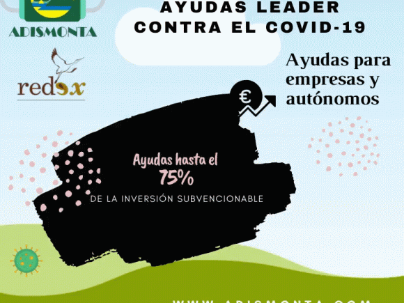ayudas; subvenciones