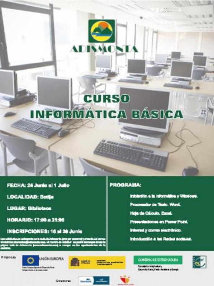 Cartel Curso Informática Básica Botija